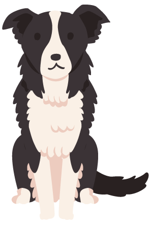 犬 ボーダー コリー ガーリー素材 ふんわり可愛い無料イラスト素材 ふんわり可愛い無料イラスト素材